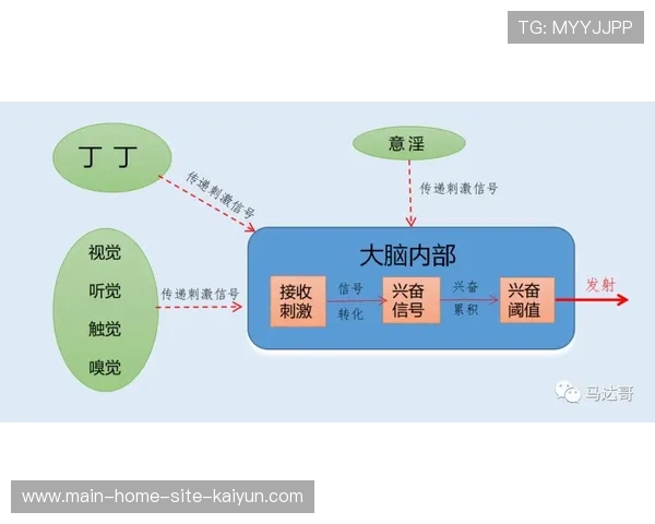 科利纳详解新规执行逻辑 强调消除拖延提升观赏性目标